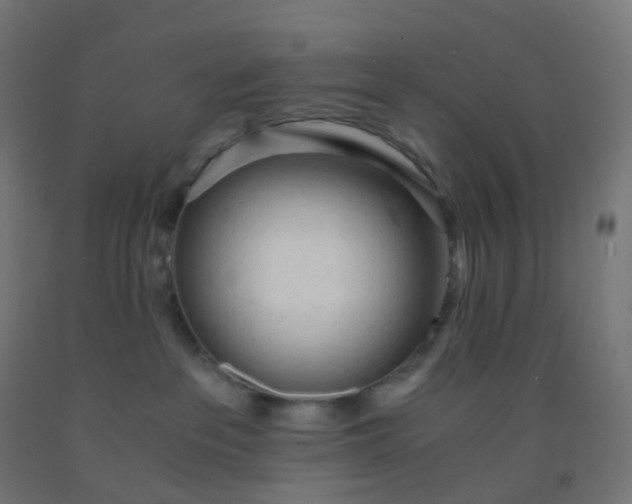 X0000092330237200709281432