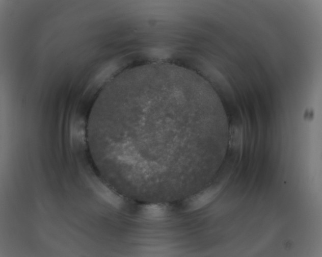 X0000092330238200709281432