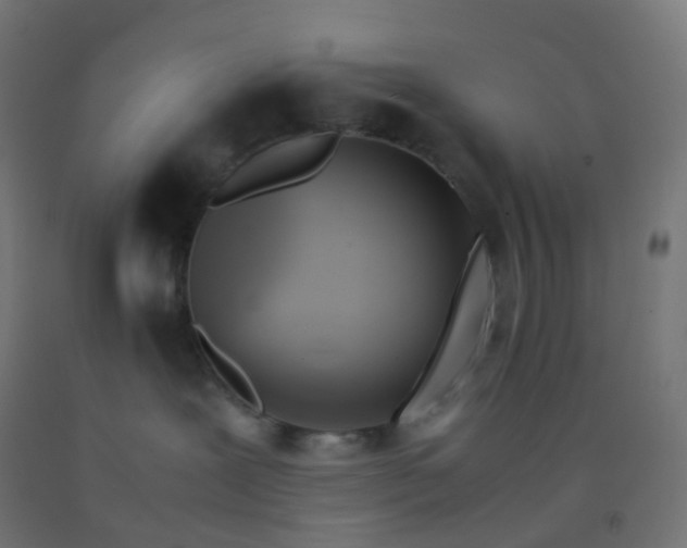 X0000092330239200709281432
