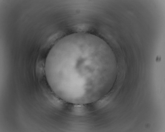 X0000092330240200709281432