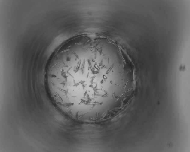 X0000092330242200709281432