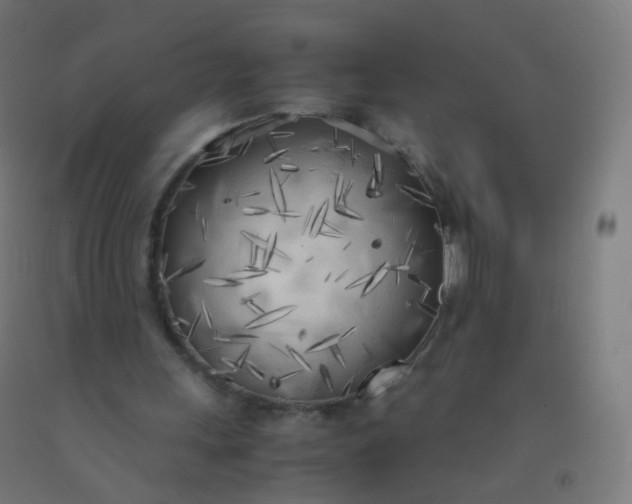 X0000092330243200709281432