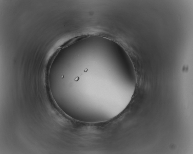 X0000092330244200709281432