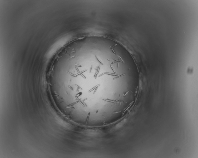 X0000092330245200709281432