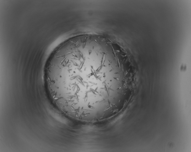 X0000092330246200709281432