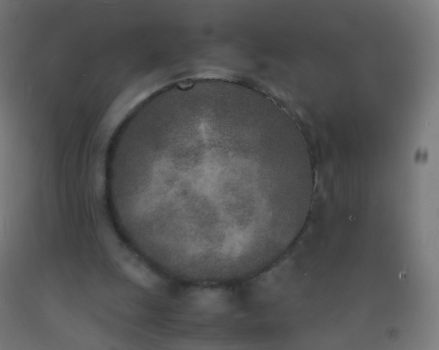 X0000092330247200709281432