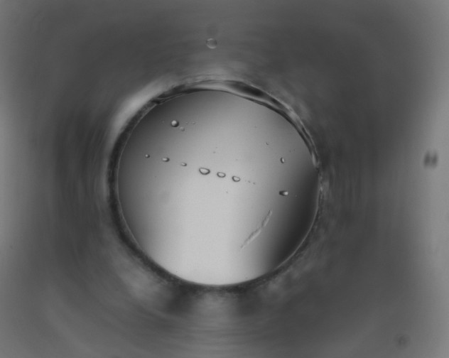 X0000092330248200709281432