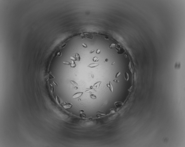 X0000092330249200709281432