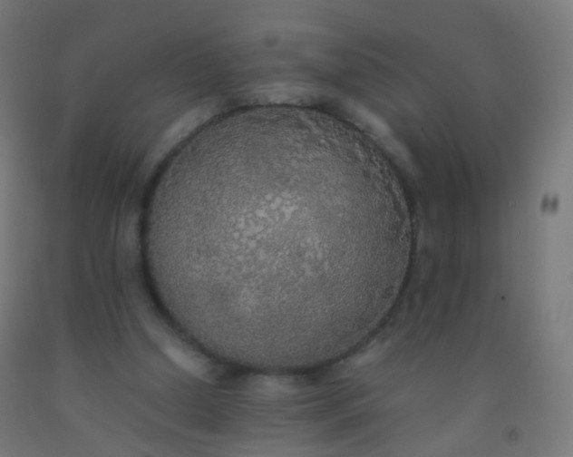 X0000092330250200709281432