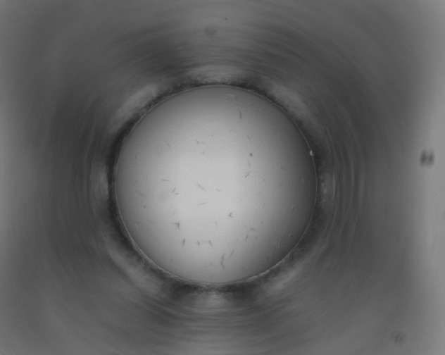 X0000092330254200709281432