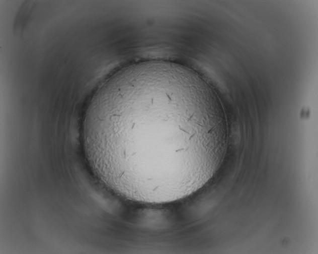 X0000092330255200709281432