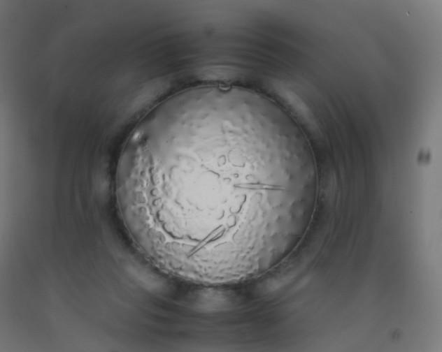 X0000092330261200709281432