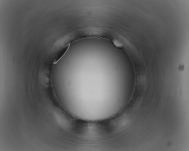 X0000092330264200709281432