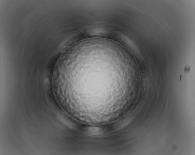 X0000092330265200709281432
