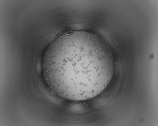 X0000092330267200709281432