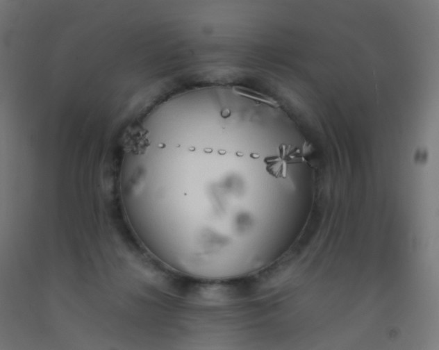 X0000092330268200709281432