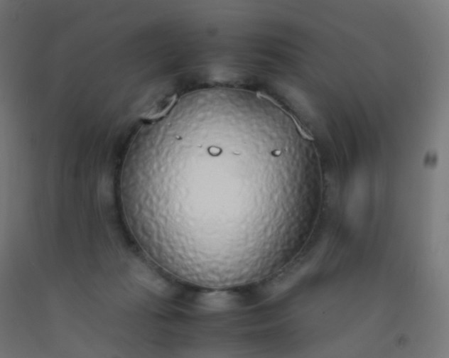 X0000092330269200709281432