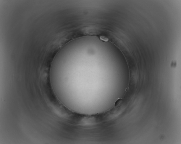 X0000092330271200709281432
