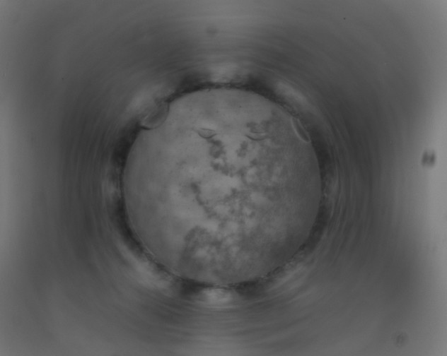 X0000092330272200709281432