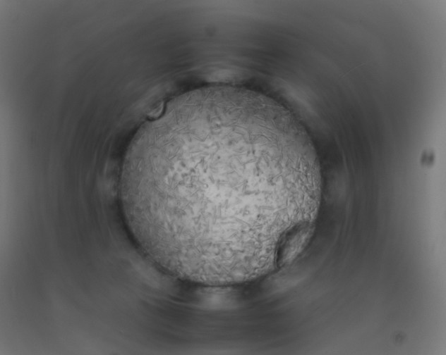 X0000092330273200709281432
