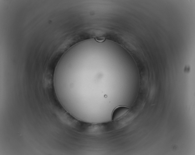X0000092330274200709281432