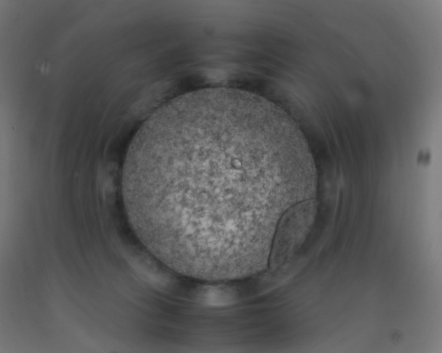 X0000092330275200709281432