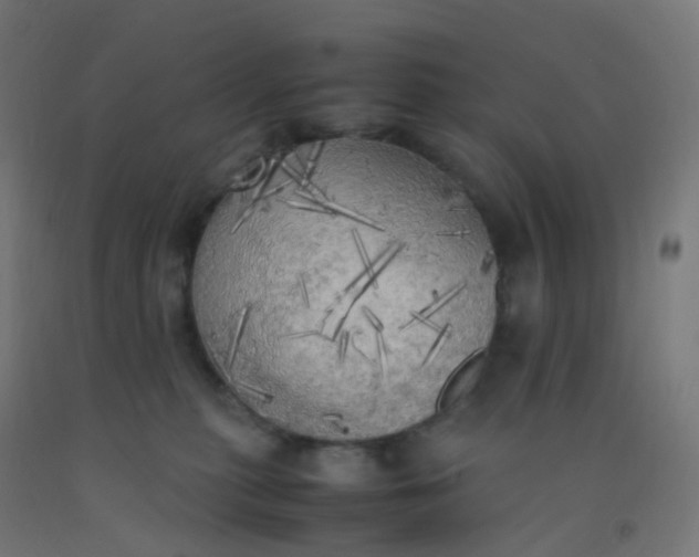 X0000092330279200709281432