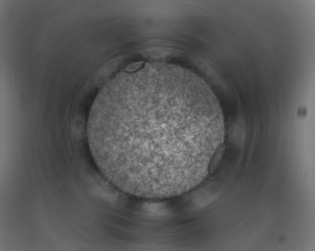 X0000092330283200709281432