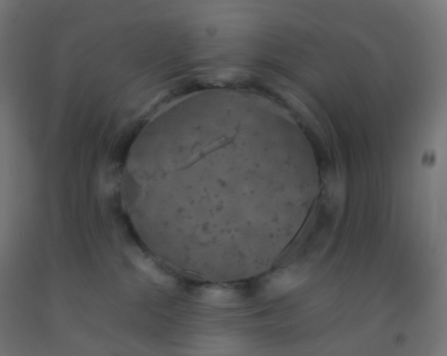 X0000092330284200709281432