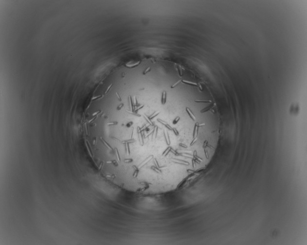 X0000092330285200709281432