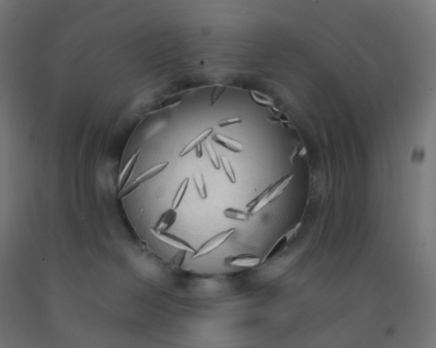 X0000092330286200709281432