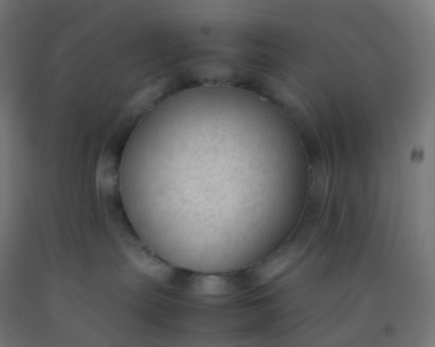 X0000092330287200709281432