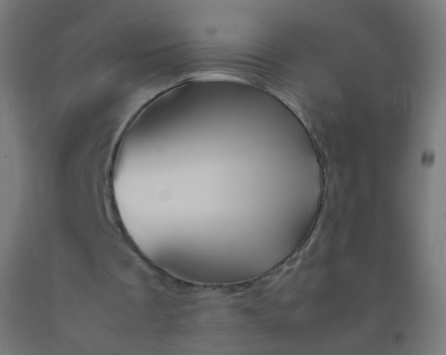 X0000092330289200709281432