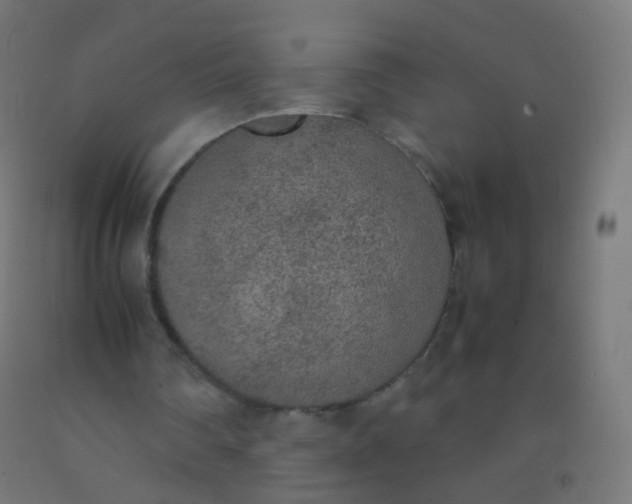 X0000092330290200709281432