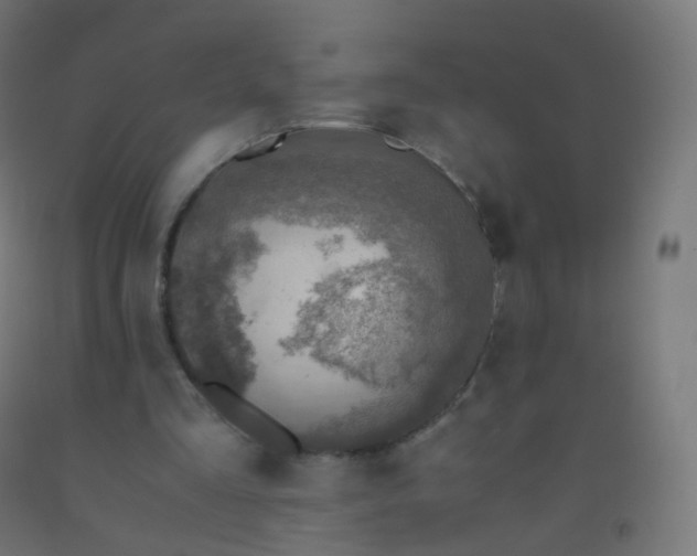 X0000092330293200709281432