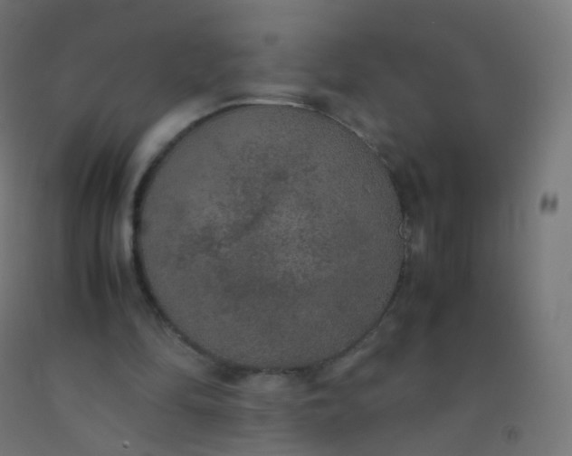 X0000092330294200709281432