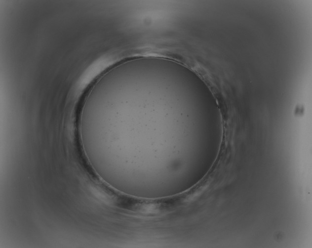 X0000092330295200709281432