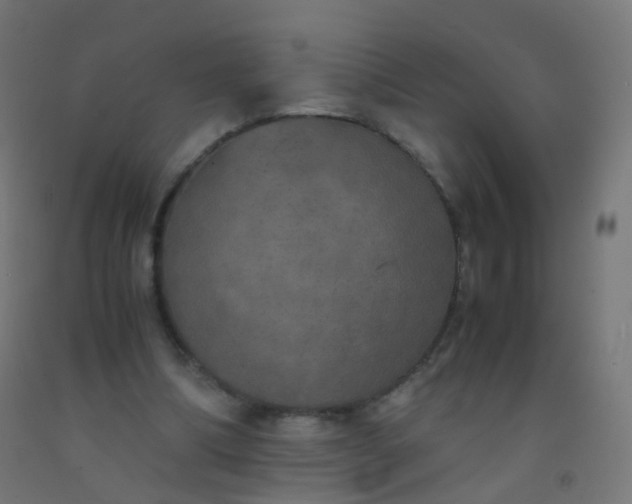 X0000092330298200709281432