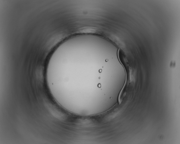 X0000092330300200709281432