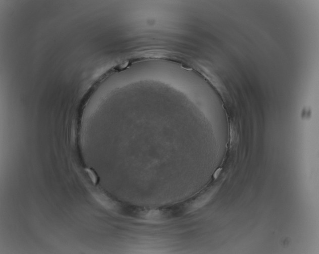 X0000092330301200709281432