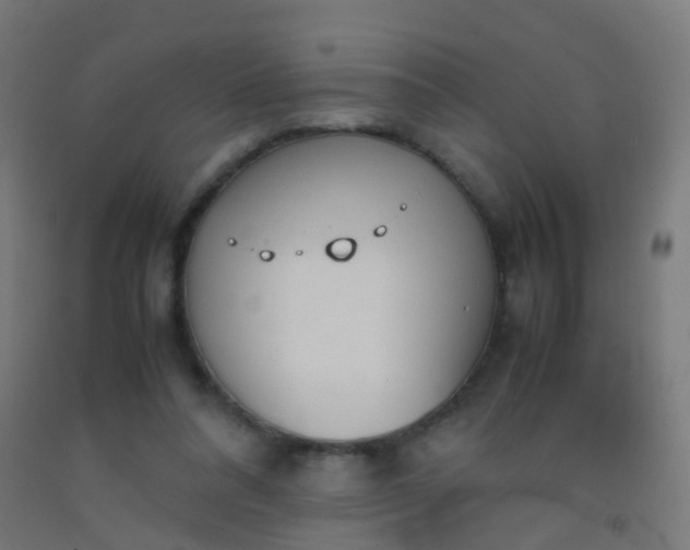 X0000092330304200709281432