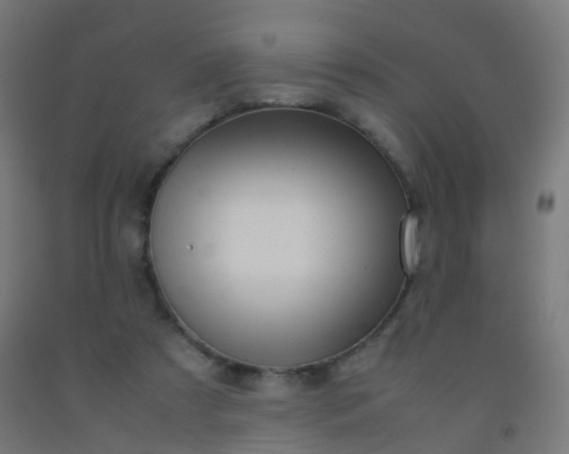 X0000092330305200709281432