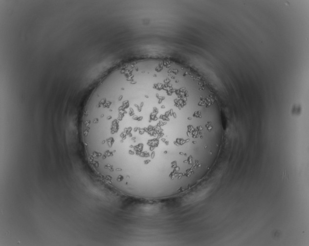 X0000092330306200709281432