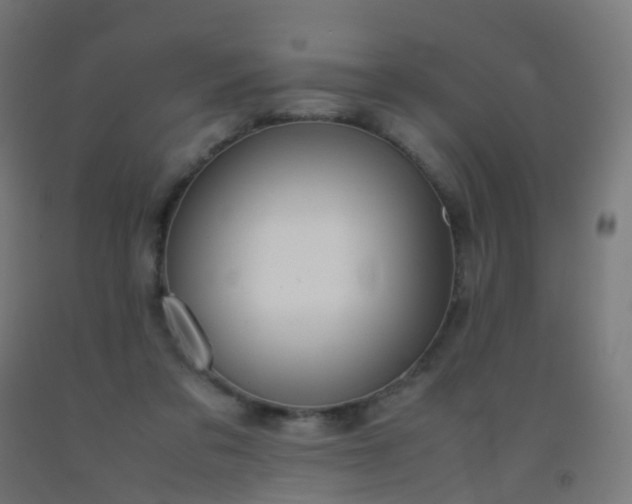 X0000092330309200709281431