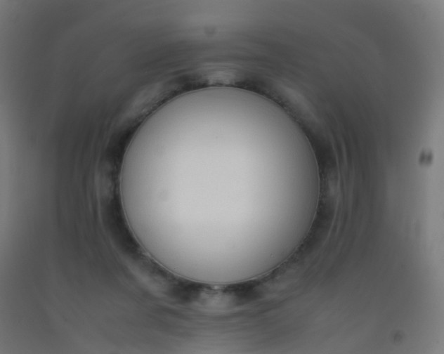 X0000092330311200709281431