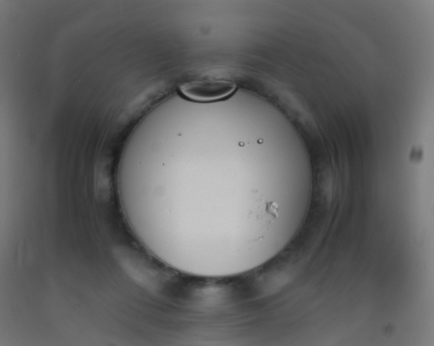 X0000092330312200709281431