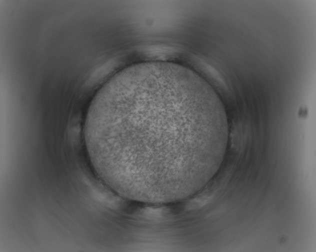 X0000092330314200709281431