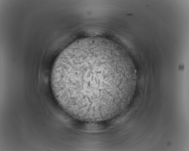 X0000092330315200709281431