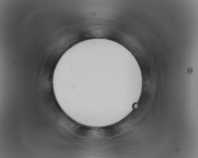 X0000092330317200709281431