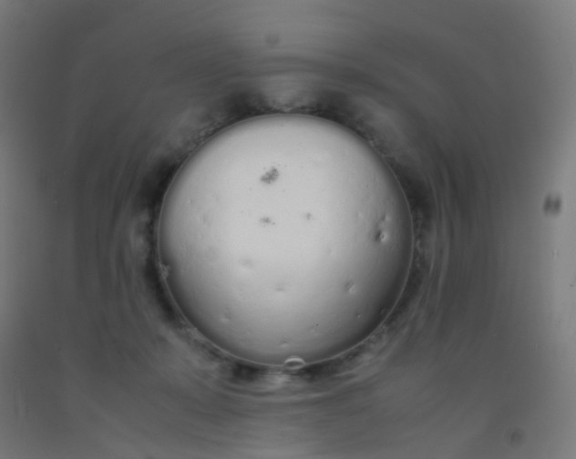 X0000092330319200709281431